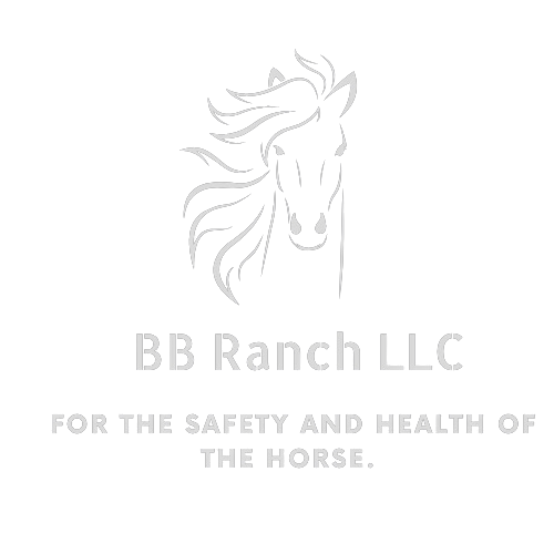 Horse Facility in Surprise Arizona